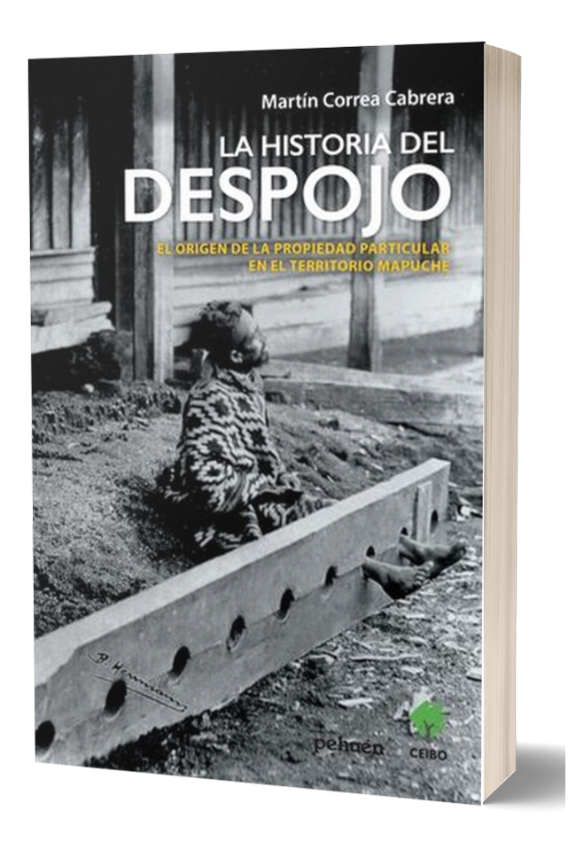 LA HISTORIA DEL DESPOJO