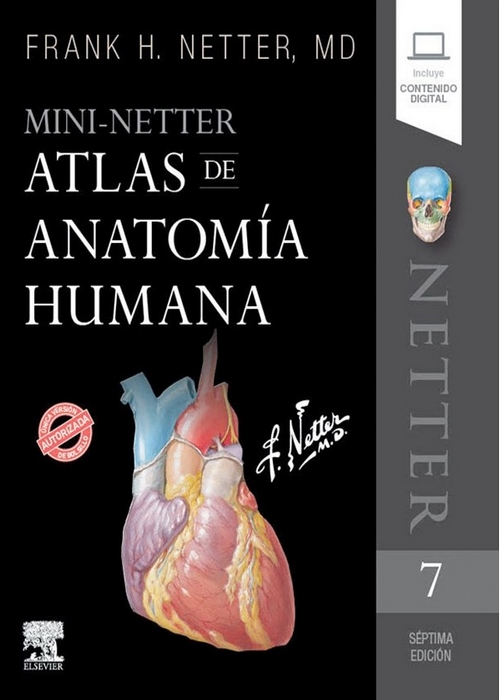 NETTER ATLAS ANATOMIA HUMANA (MINI)